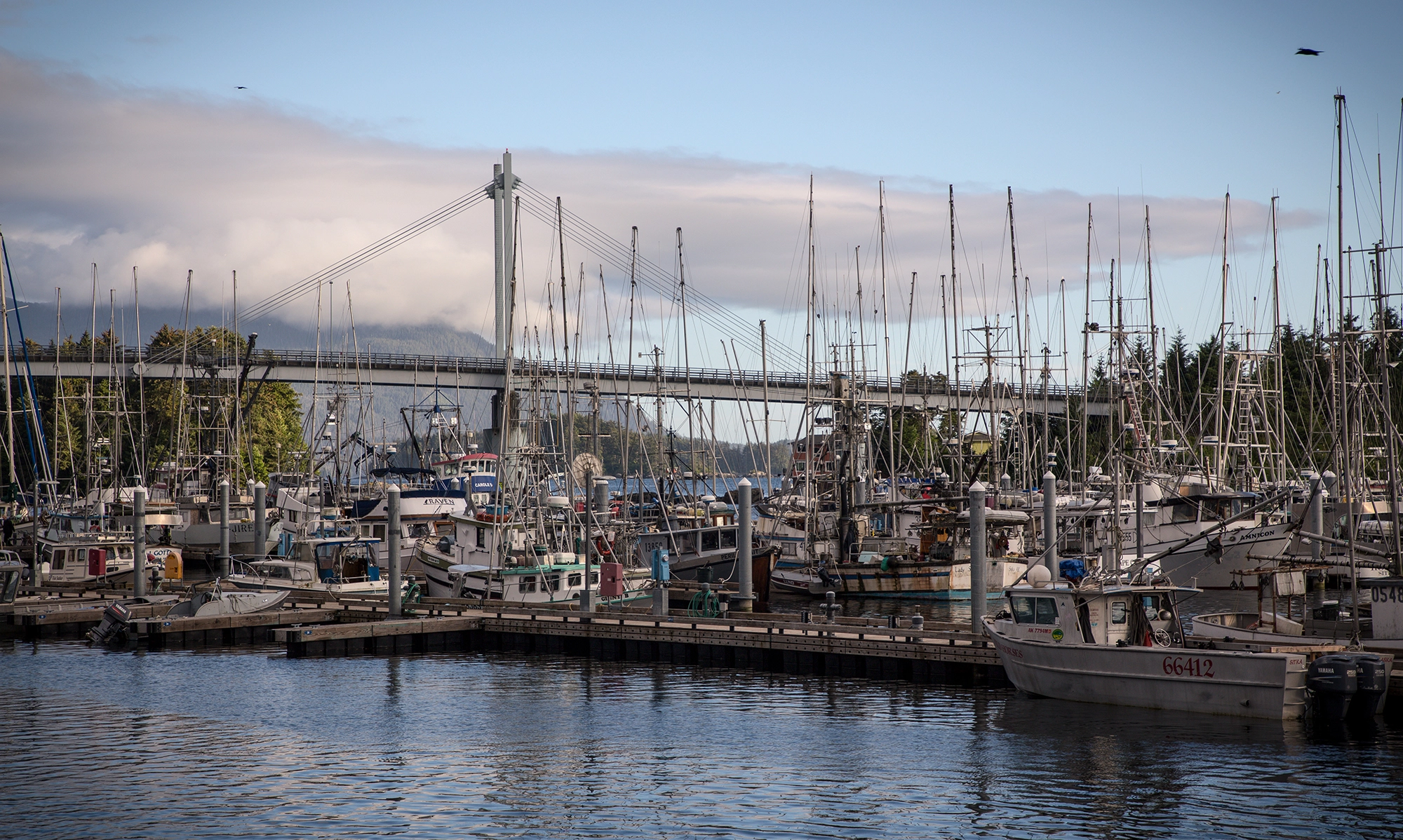 Sitka