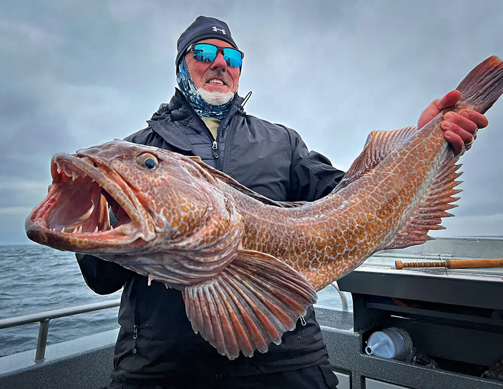 Alaska lingcod